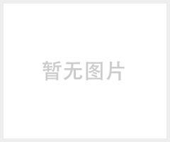 不锈钢38mm圆球厂家